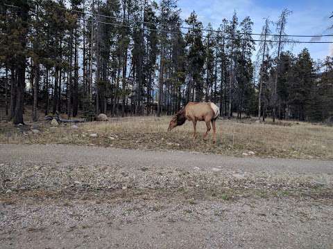 Elkview Accommodation